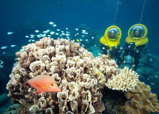James and his girlfriend watching the coral during a Mini Submarine session near the shore in Cozumel.