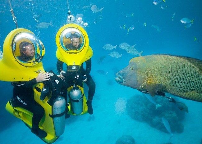 Raina and his boyfriend seeing a big fish in their Mini Submarine excursion.