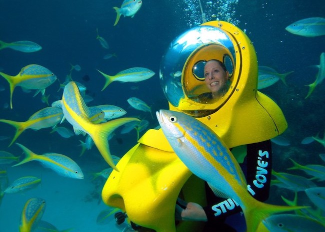1 Cozumel Mini Submarine Tours & Excursions in 2025: Cozumel